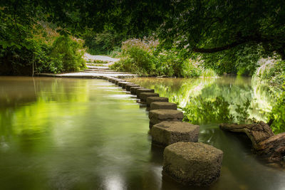 Scenic view of river with trees in background