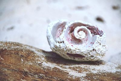 High angle view of ice cream