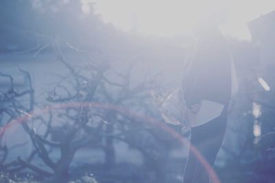 Low angle view of spider web against sky