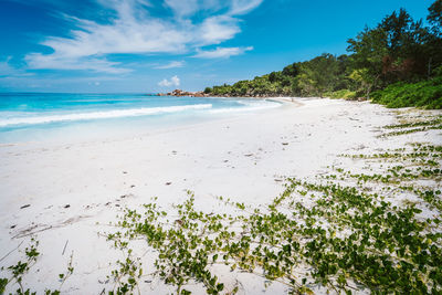 Scenic view of beach against sky