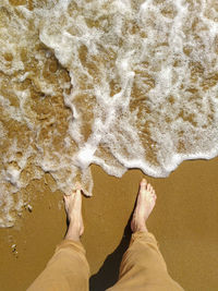 Low section of man standing on shore at beach