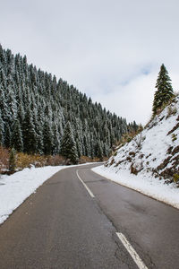 Road by trees against sky during winter