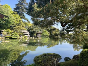 Scenic view of lake in forest