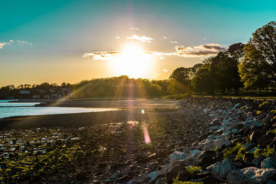 River amidst trees against sky during sunset