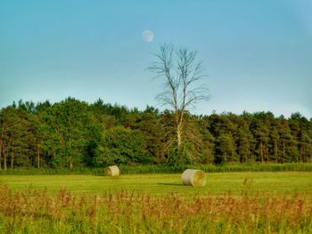 Hay bales on field against sky