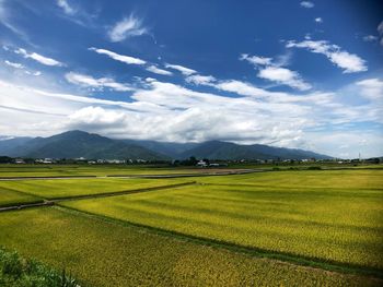 Scenic view of agricultural field against sky