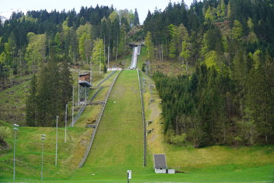 High angle view of railroad tracks amidst trees on field