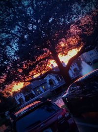 High angle view of illuminated trees at night