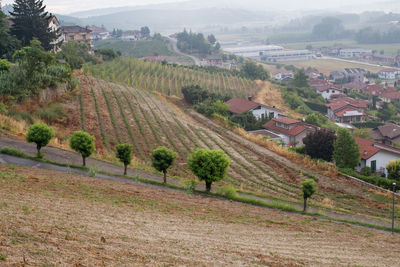 Scenic view of agricultural field