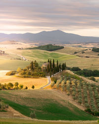 Val d' orcia - the most photographed place in tuscany. we had no fog but it was so beautiful there.