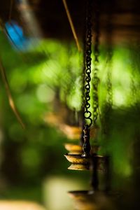 Oil lamps with chains hanging in temple