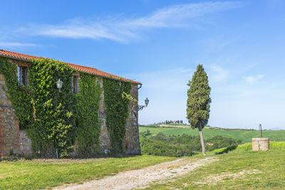 Rural house with ivy growing on the wall