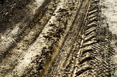 Close-up view of tire tracks