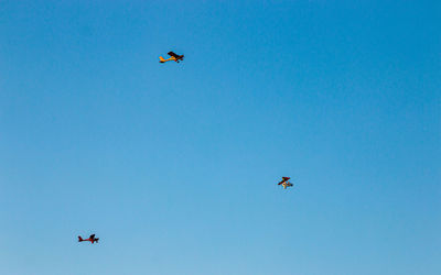 Low angle view of kites flying against clear blue sky