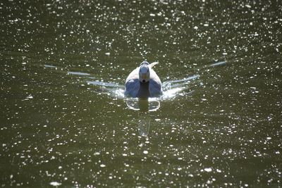 Full length of man in water