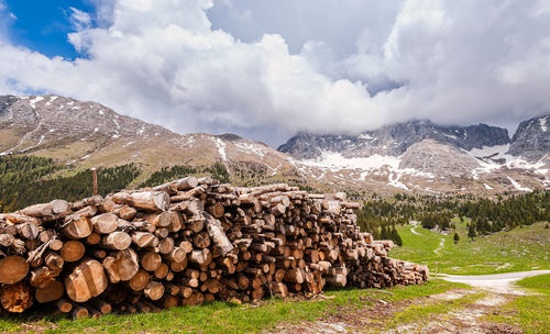 Stack of logs on field by mountain against sky