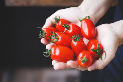 Cropped hands holding tomatoes