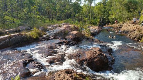 Scenic view of river in forest against sky