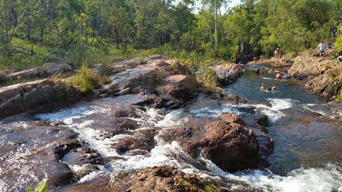 Scenic view of river in forest against sky