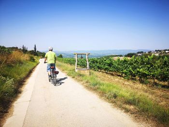 Rear view of man riding bicycle on road against sky