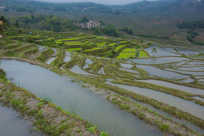 High angle view of rice field against sky