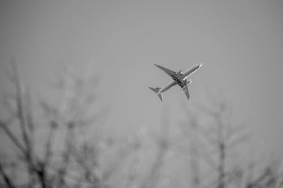 Low angle view of airplane flying in sky