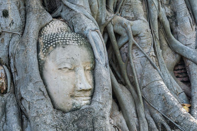 Sculpture of buddha statue