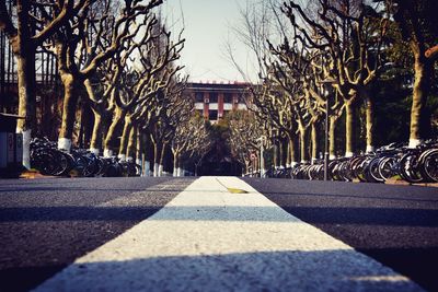 Road passing through forest