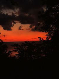 Silhouette trees and plants against dramatic sky during sunset