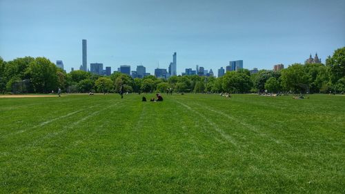 Scenic view of field and trees in park against sky