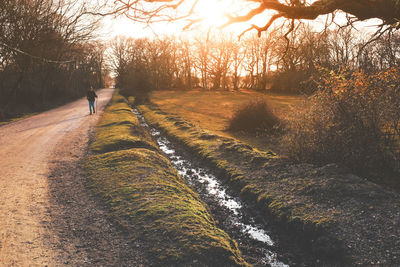 Young man walking on dirt road in forest during sunset