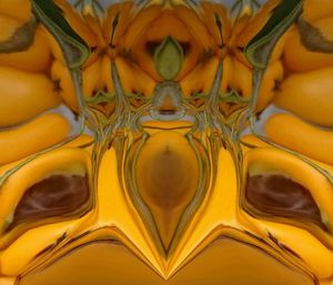 Full frame shot of tree