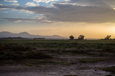 Scenic view of field against sky during sunset