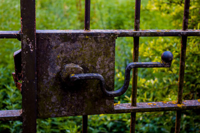 Close-up of rusty metal gate