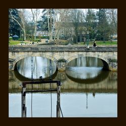 Reflection of trees in river