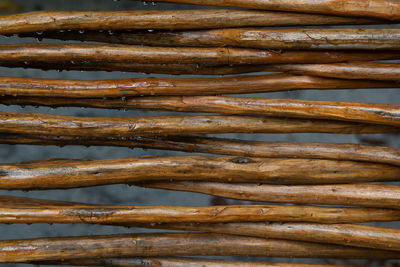 Close-up of fish for sale in market