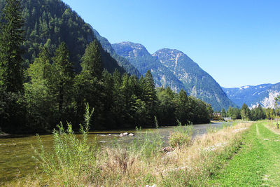 Scenic view of lake by trees against sky