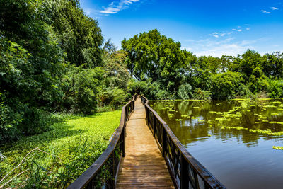 Footbridge over canal amidst trees against sky