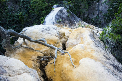Water flowing through rocks amidst trees