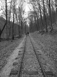 Rear view of man walking on railroad track