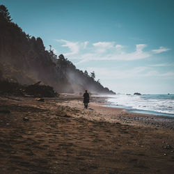 Man walking on beach against sky