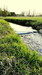 Scenic view of river against clear sky