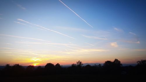 Silhouette trees against sky during sunset