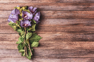 Directly above shot of flowers on table