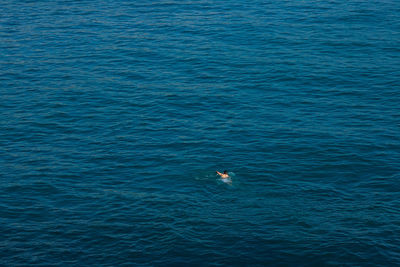 High angle view of man swimming in sea