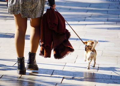 Low section of people with dog walking on footpath