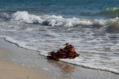 Rocks in sea