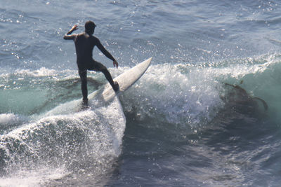 Man surfing in sea