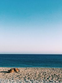 View of sea against sky