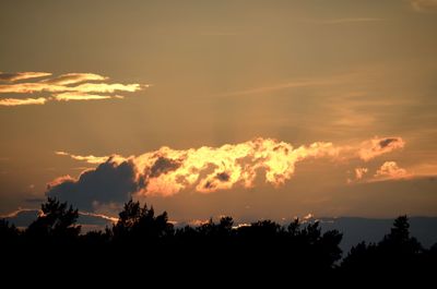 Low angle view of silhouette trees against sky during sunset